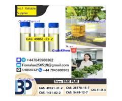 49851-31-2 2-BROMO-1-PHENYL-PENTAN-1-ONE CAS 49851-31-2