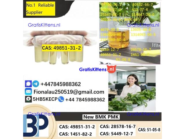 Specialty Intermediate (CAS: 49851-31-2) High-Purity CAS: 49851-31-2