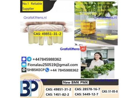 Specialty Intermediate (CAS: 49851-31-2) High-Purity CAS: 49851-31-2