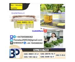 Specialty Intermediate (CAS: 49851-31-2) High-Purity CAS: 49851-31-2