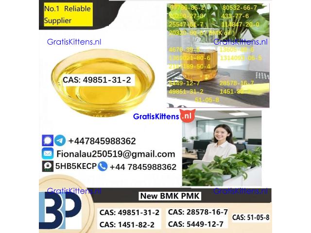 Specialty Intermediate (CAS: 49851-31-2) High-Purity CAS: 49851-31-2