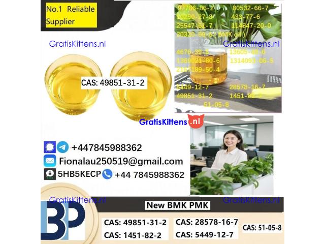 Specialty Intermediate (CAS: 49851-31-2) High-Purity CAS: 49851-31-2
