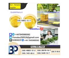 Specialty Intermediate (CAS: 49851-31-2) High-Purity CAS: 49851-31-2