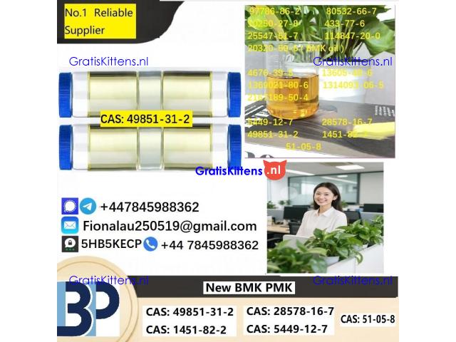 Specialty Intermediate (CAS: 49851-31-2) High-Purity CAS: 49851-31-2