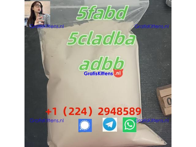 Others | 5cladba Best Effect 5f-adb MDMB-5F-PINACA MDMB-4en-PINACA