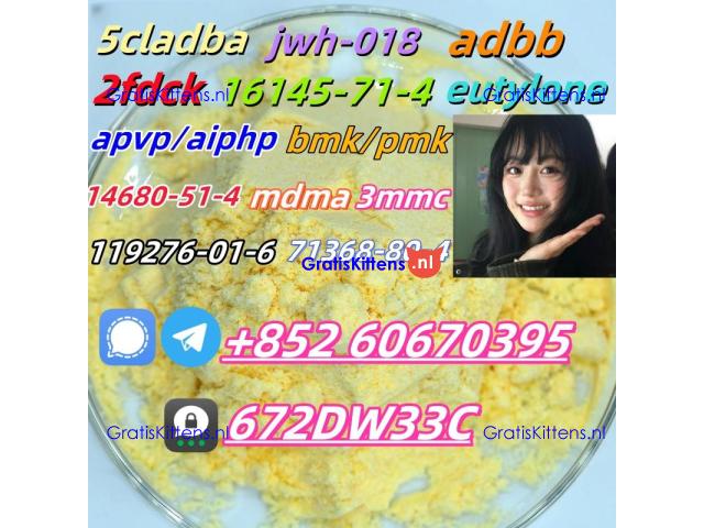Supply low price 5cladba fast delivery