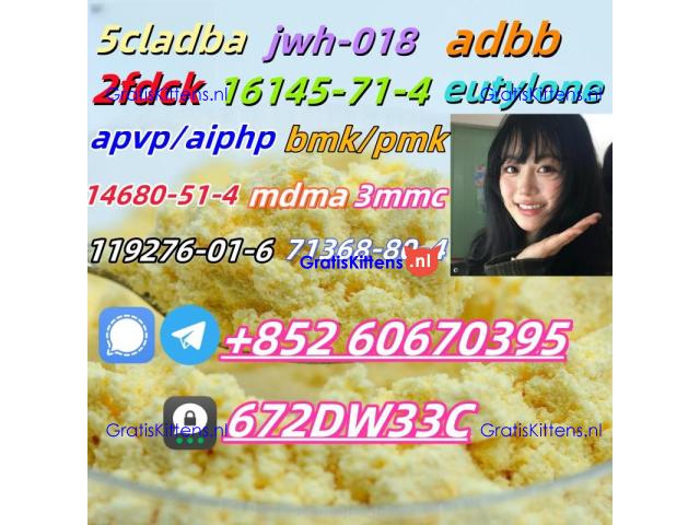 Supply low price 5cladba fast delivery