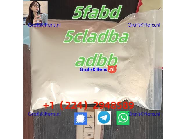 5cladba raw material 5CL-ADB-A precursor raw 5cladba 5f adb