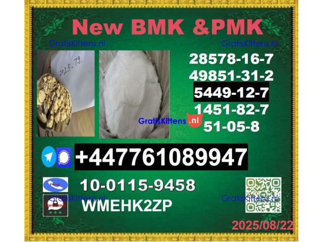 New B.M.K 5449-12-7 P.M.K Powder 28578-16-7 Wholesale Supply