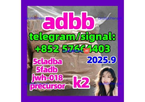 5cladba adbb 5f Cannabinoid MDMB -4en-PINACA best supplier 5f-adb