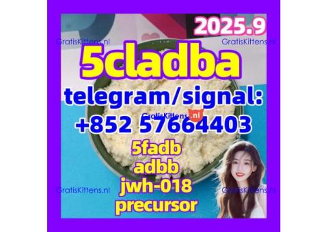 I sell | 5CLADBA 5f-adb Strong effect Factory direct sales 5CL-ADB-A