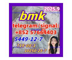 New BMK 5449-12-7 Powder glycerin acid  718-08-1 10250-28-7