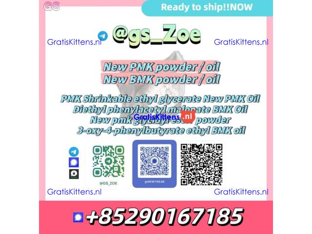 ???? New PMK (28578-16-7) / New BMK (5449-12-7)  -Powder/o