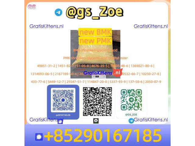 ???? New PMK (28578-16-7) / New BMK (5449-12-7)  -Powder/o