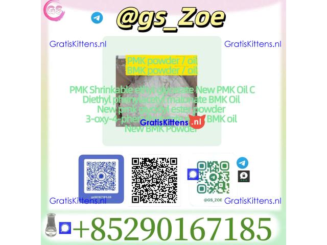 ???? New PMK (28578-16-7) / New BMK (5449-12-7)  -Powder/o