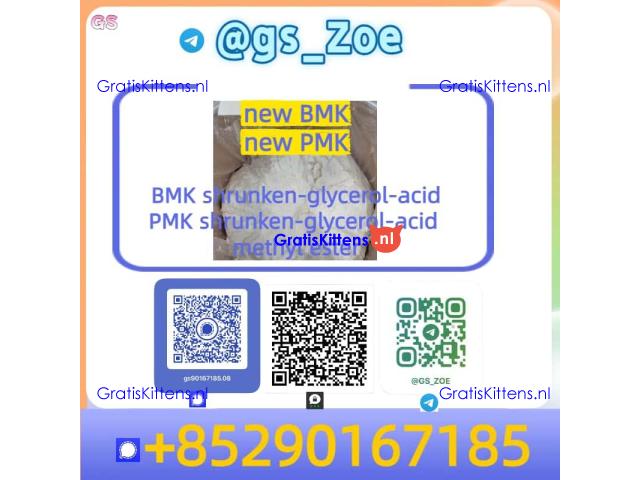 ✨ New PMK (28578-16-7) / New BMK (5449-12-7)  - Methyl ester variants | Hot in market | Trustworthy