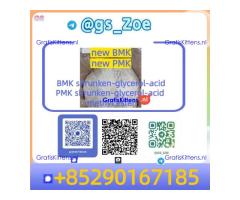 ✨ New PMK (28578-16-7) / New BMK (5449-12-7)  - Methyl ester variants | Hot in market | Trustworthy