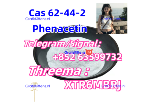 Shiny phenacetin raw powder cas 62-44-2 in large stock