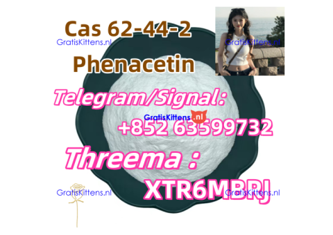 buy-phenacetin-cas-62-44-2-powder-Phenacetin