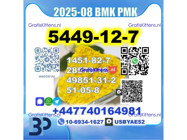 BMK glycidic acid 5449-12-7 PMK 28578-16-7 Source factory