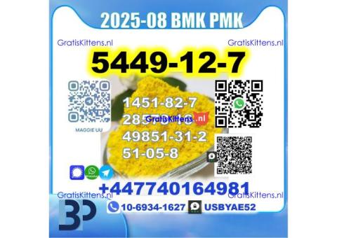BMK glycidic acid 5449-12-7 PMK 28578-16-7 Source factory