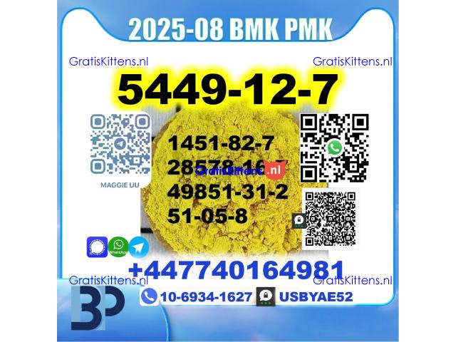 BMK glycidic acid 5449-12-7 PMK 28578-16-7 Source factory