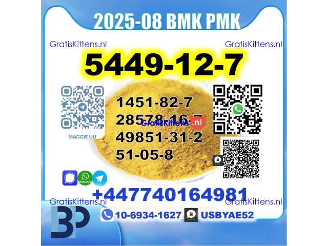 BMK glycidic acid 5449-12-7 PMK 28578-16-7 Source factory