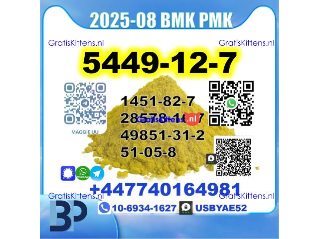 BMK glycidic acid 5449-12-7 PMK 28578-16-7 Source factory