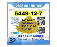 BMK glycidic acid 5449-12-7 PMK 28578-16-7 Source factory