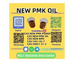 High Purity P.M.K Oil 28578-16-7 Premium Quality for Synthesis