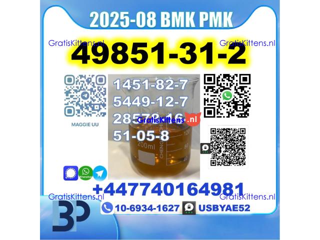 49851-31-2 BVF 2-Bromovalerophenone BMK PMK BK4 stale supply
