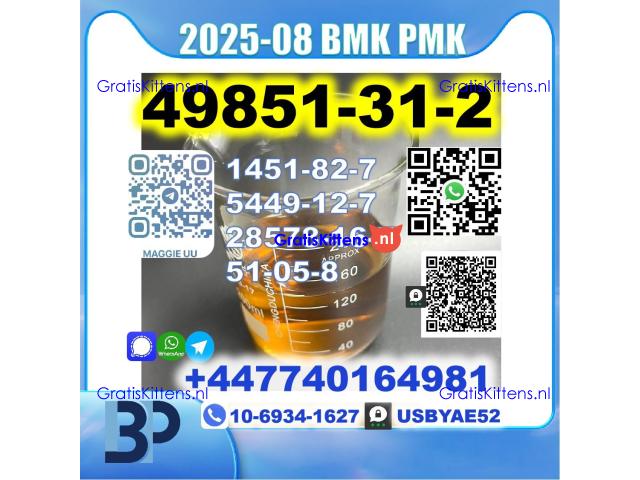 49851-31-2 BVF 2-Bromovalerophenone BMK PMK BK4 stale supply
