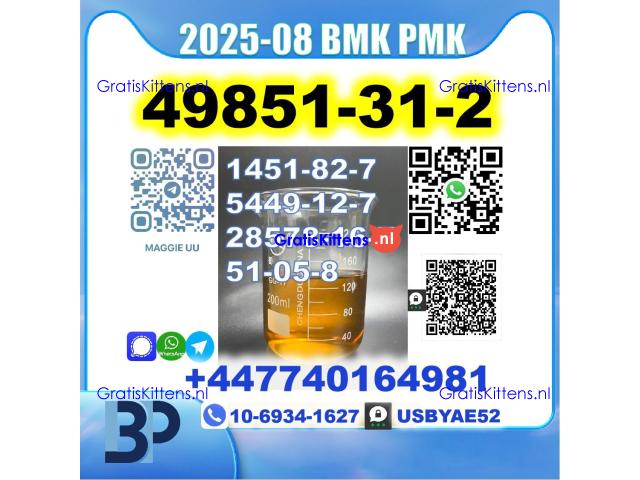 49851-31-2 BVF 2-Bromovalerophenone BMK PMK BK4 stale supply