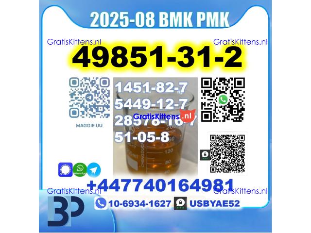 2-Bromo-1-Phenyl-Pentan-1-One 49851-31-2 BMK bk4 2b4m Safe delivery