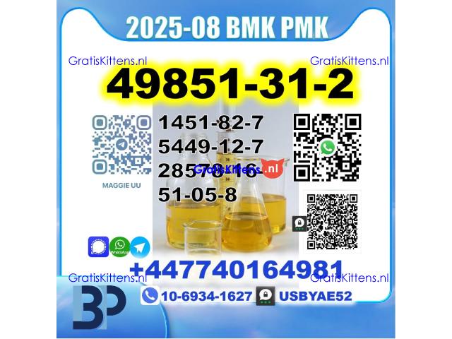 49851-31-2 bvf bmk pmk bk4 2b4m premium factory safe delivery