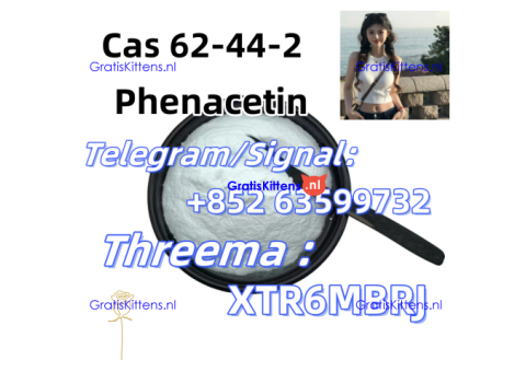 Phenacetin CAS 62-44-2 China supplier with cheap price