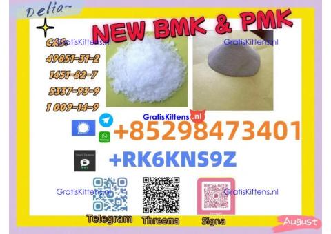 Reliable supply source BMP&PMK 5449-12-7 & 28578-16-7