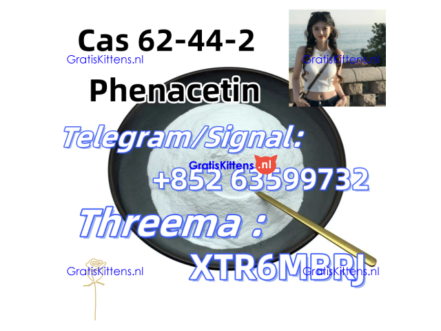 Purity Phenacetin Powder Wholesale Seller China