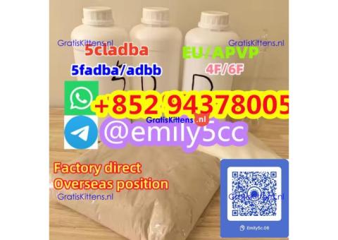 buy 5cl 5cladba precursor yellow powder best supplier