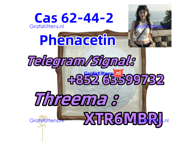 Buy 99% Purity cas 62-44-2 Phenacetin Powder Wholesale