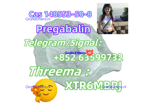 PMK 28578-16-7 BMK Powder CAS 5449-12-7 CAS 49851-31-2 CAS 1451-82-7