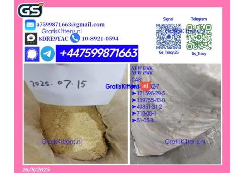 High-Quality P MK 28578-16-7 B MK 5449-12-7 Wholesale Supplier