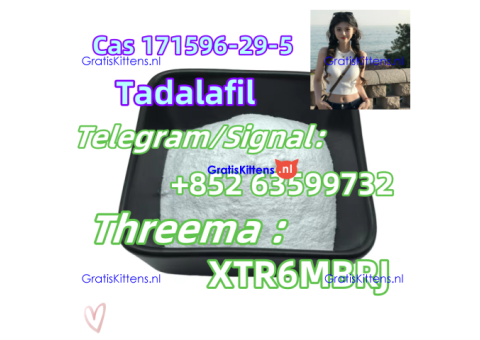 CAS 171596-29-5 Tadalafil C22H19N3O4