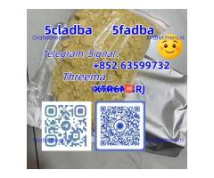 Raw Materials 5CLADBA supplier 5cl 5cl adb with high-quality