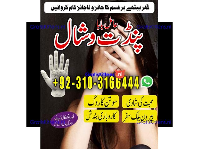 AmilBaba online kalailam kalajadu +923103166444 jadu k tor