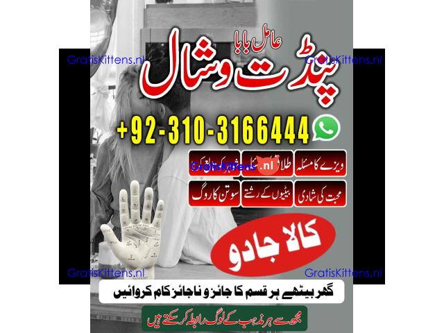 AmilBaba online kalailam kalajadu +923103166444 jadu k tor