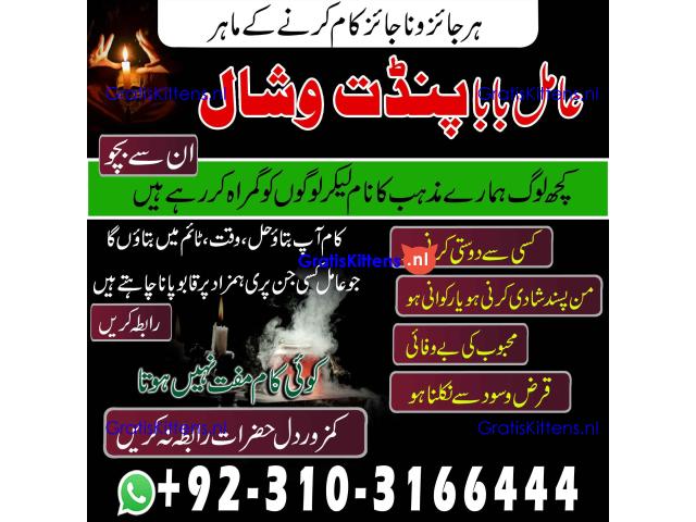 Top No 1 Amil Baba kalajadu in London Amilbabain Qatar