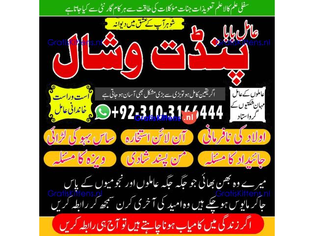 parwafull AmilBaba BlackmagicRemoval AsliAmilBaba in ITLAY