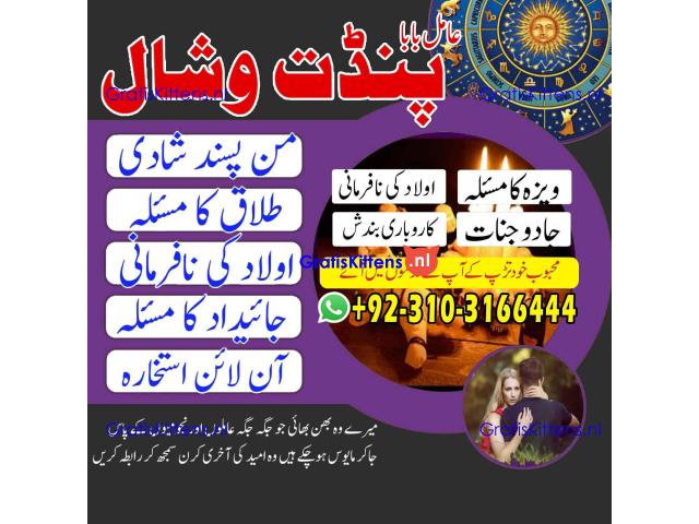parwafull AmilBaba BlackmagicRemoval AsliAmilBaba in ITLAY