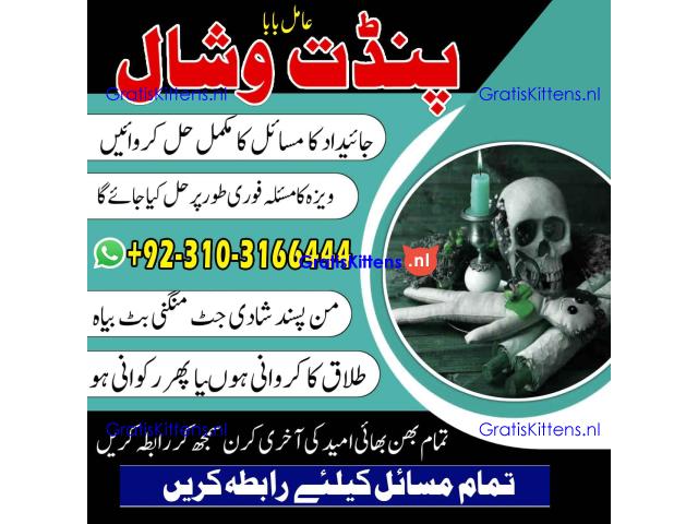LoveMarriageSolution AmilBabainLondon kalailamktor +923103166444